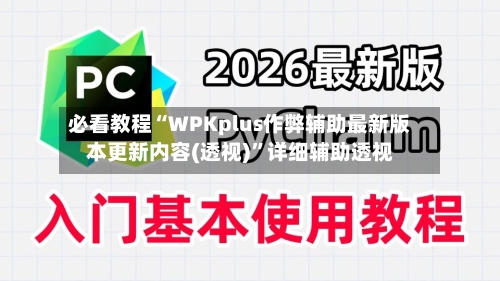 必看教程“WPKplus作弊辅助最新版本更新内容(透视)”详细辅助透视-第1张图片