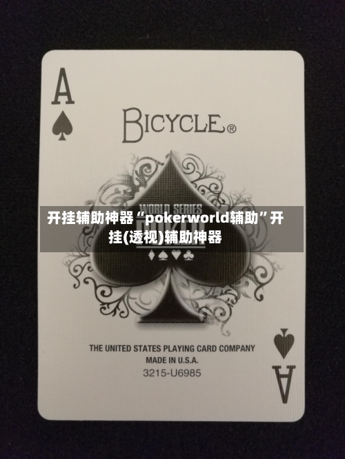 开挂辅助神器“pokerworld辅助	”开挂(透视)辅助神器-第1张图片