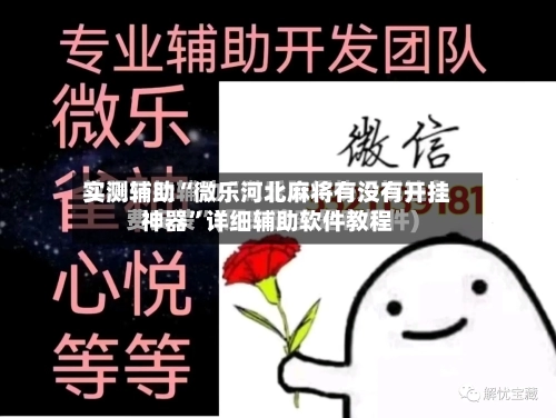 实测辅助“微乐河北麻将有没有开挂神器”详细辅助软件教程-第1张图片