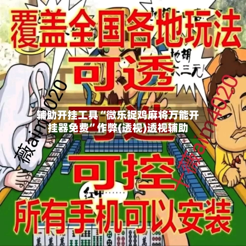 辅助开挂工具“微乐捉鸡麻将万能开挂器免费	”作弊(透视)透视辅助-第1张图片