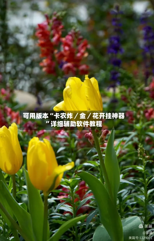 可用版本“卡农炸／金／花开挂神器	”详细辅助软件教程-第1张图片
