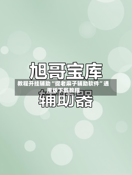 教程开挂辅助“捉老麻子辅助软件	”通用版下载教程-第1张图片
