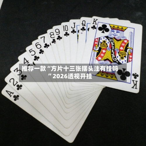 推荐一款“方片十三张摆头注有挂吗	”2026透视开挂-第1张图片