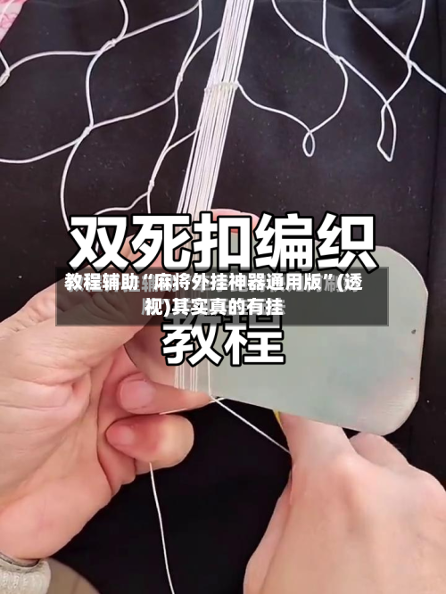 教程辅助“麻将外挂神器通用版”(透视)其实真的有挂-第1张图片