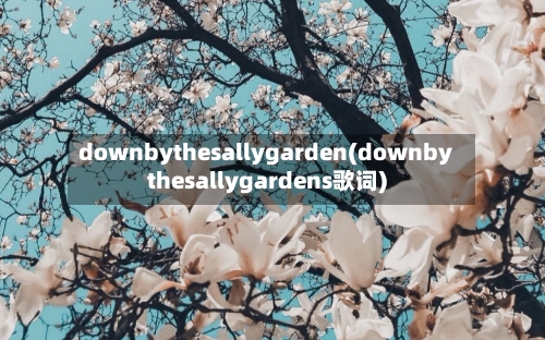 downbythesallygarden(downbythesallygardens歌词)-第1张图片