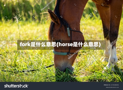 fork是什么意思(horse是什么意思)-第1张图片