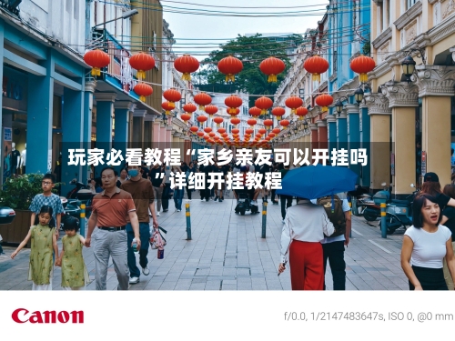 玩家必看教程“家乡亲友可以开挂吗”详细开挂教程-第1张图片