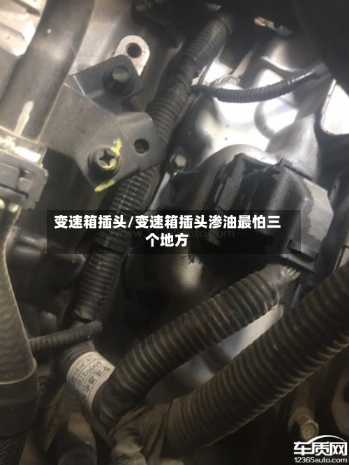 变速箱插头/变速箱插头渗油最怕三个地方-第1张图片