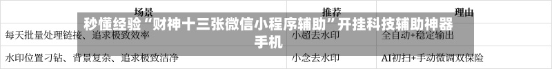 秒懂经验“财神十三张微信小程序辅助”开挂科技辅助神器手机-第1张图片