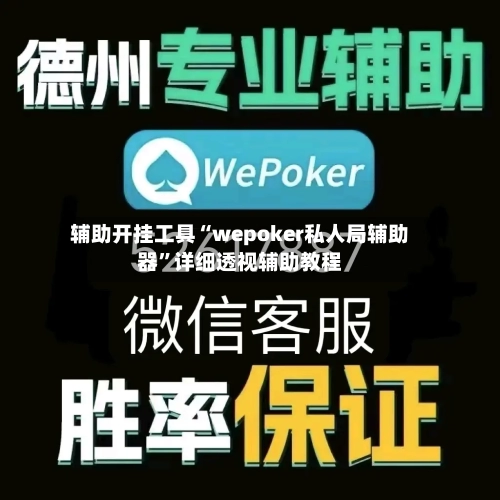 辅助开挂工具“wepoker私人局辅助器”详细透视辅助教程-第1张图片