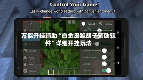 万能开挂辅助“白金岛跑胡子辅助软件”详细开挂玩法-第1张图片