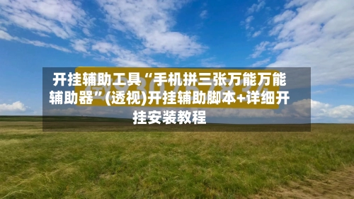 开挂辅助工具“手机拼三张万能万能辅助器	”(透视)开挂辅助脚本+详细开挂安装教程-第1张图片
