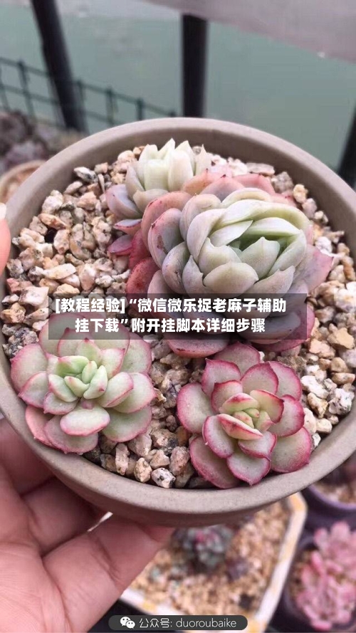 [教程经验]“微信微乐捉老麻子辅助挂下载	”附开挂脚本详细步骤-第1张图片