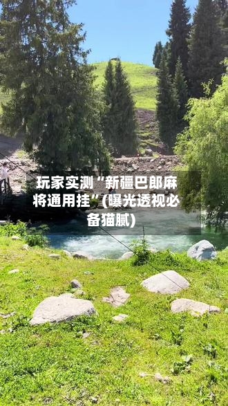 玩家实测“新疆巴郎麻将通用挂”(曝光透视必备猫腻)-第1张图片