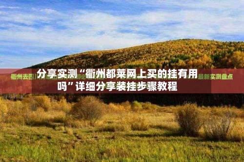 分享实测“衢州都莱网上买的挂有用吗”详细分享装挂步骤教程-第1张图片