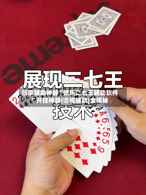 玩家辅助神器“微乐二七王辅助软件”开挂神器{透视辅助}全揭秘-第1张图片
