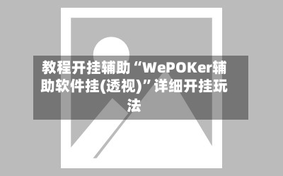 教程开挂辅助“WePOKer辅助软件挂(透视)”详细开挂玩法-第1张图片