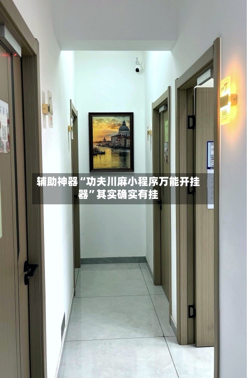 辅助神器“功夫川麻小程序万能开挂器”其实确实有挂-第1张图片
