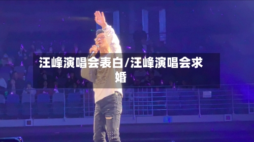 汪峰演唱会表白/汪峰演唱会求婚-第1张图片