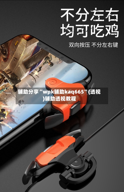 辅助分享“wpk辅助kaq665”(透视)辅助透视教程-第1张图片