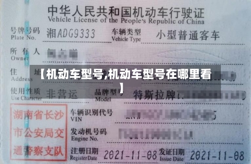 【机动车型号,机动车型号在哪里看】-第1张图片