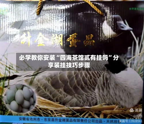 必学教你安装“四海茶馆贰有挂吗	”分享装挂技巧步骤-第1张图片