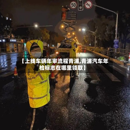【上线车辆年审流程青浦,青浦汽车年检标志在哪里领取】-第1张图片