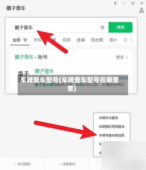 车牌查车型号(车牌查车型号在哪里查)-第1张图片