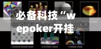 必备科技“wepoker开挂辅助方法(透视)”详细开挂玩法-第1张图片