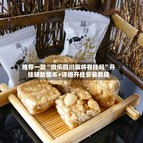 推荐一款“微乐四川麻将有挂吗”开挂辅助脚本+详细开挂安装教程-第1张图片