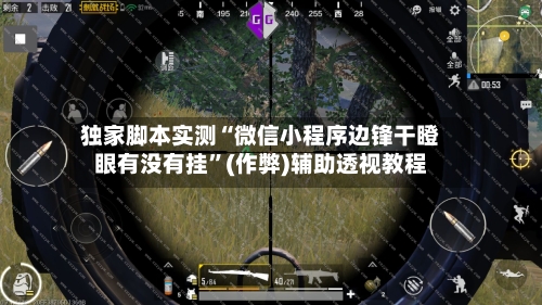 独家脚本实测“微信小程序边锋干瞪眼有没有挂”(作弊)辅助透视教程-第1张图片