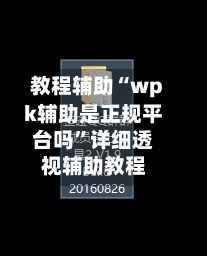 教程辅助“wpk辅助是正规平台吗”详细透视辅助教程-第1张图片