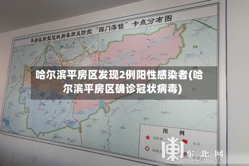 哈尔滨平房区发现2例阳性感染者(哈尔滨平房区确诊冠状病毒)-第1张图片