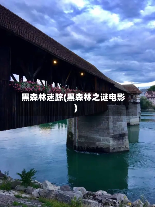 黑森林迷踪(黑森林之谜电影)-第1张图片