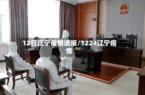12日辽宁疫情速报/1224辽宁疫情-第1张图片