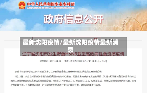 最新沈阳疫情/最新沈阳疫情最新消息-第1张图片