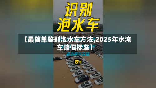 【最简单鉴别泡水车方法,2025年水淹车赔偿标准】-第1张图片