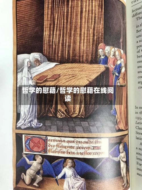 哲学的慰藉/哲学的慰藉在线阅读-第1张图片