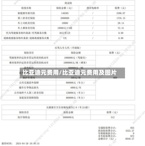 比亚迪元费用/比亚迪元费用及图片-第1张图片