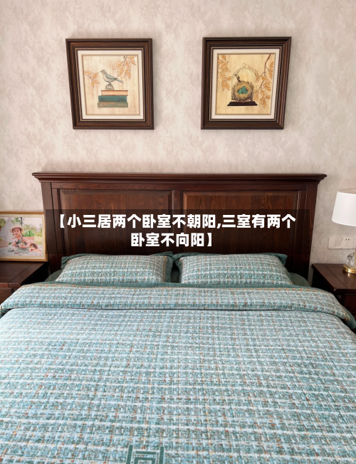 【小三居两个卧室不朝阳,三室有两个卧室不向阳】-第1张图片