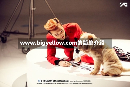 www.bigyellow.com的简单介绍-第1张图片