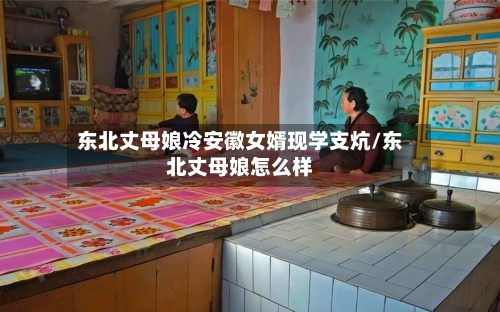 东北丈母娘冷安徽女婿现学支炕/东北丈母娘怎么样-第1张图片