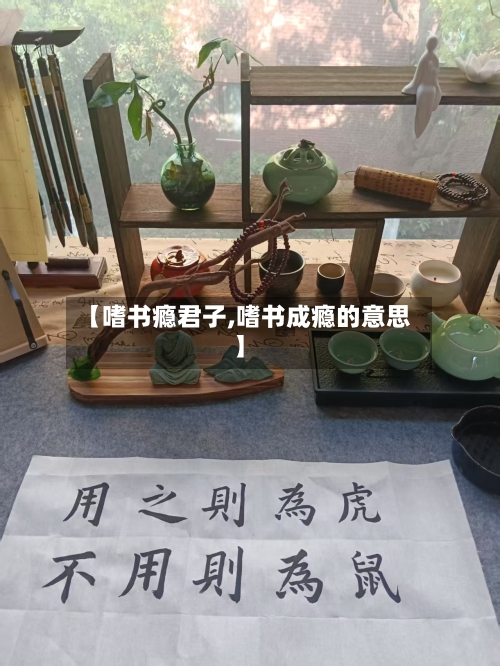 【嗜书瘾君子,嗜书成瘾的意思】-第1张图片