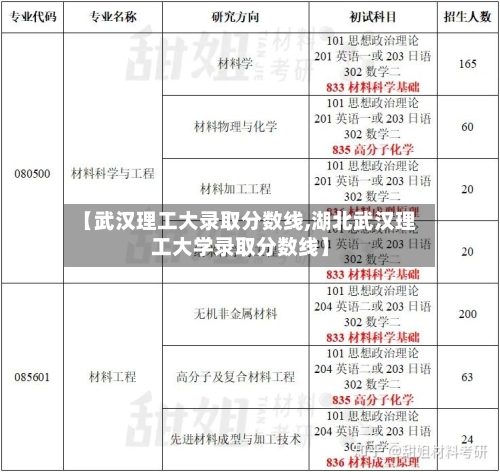 【武汉理工大录取分数线,湖北武汉理工大学录取分数线】-第1张图片