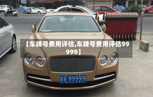 【车牌号费用评估,车牌号费用评估99999】-第1张图片