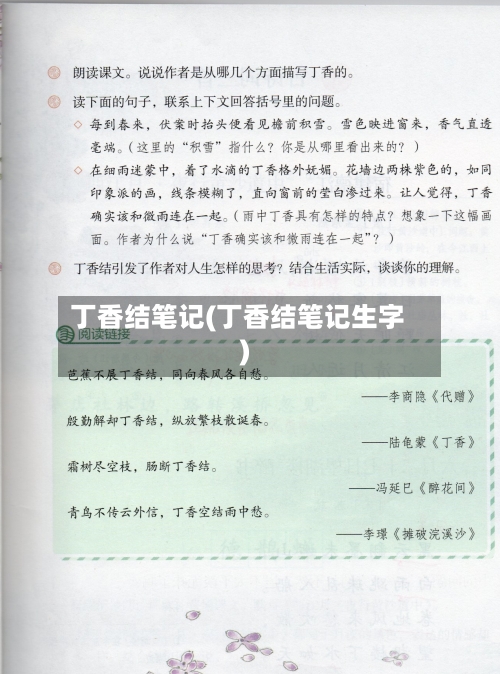 丁香结笔记(丁香结笔记生字)-第1张图片