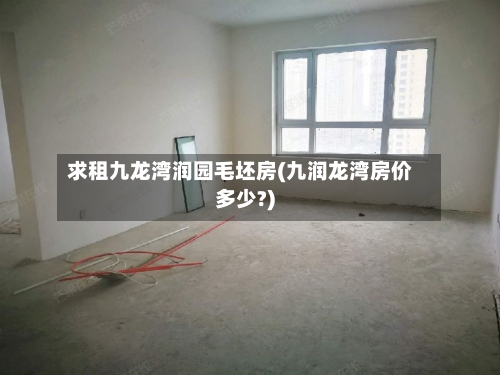 求租九龙湾润园毛坯房(九润龙湾房价多少?)-第1张图片