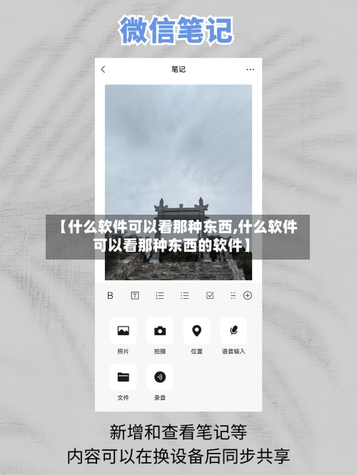 【什么软件可以看那种东西,什么软件可以看那种东西的软件】-第1张图片
