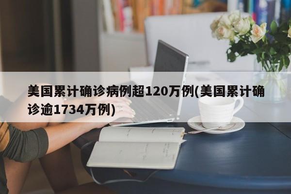 美国累计确诊病例超120万例(美国累计确诊逾1734万例)