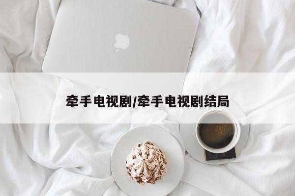 牵手电视剧/牵手电视剧结局
